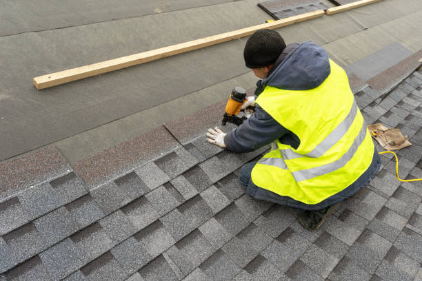 Best New Roof Installation  in Mims, FL
