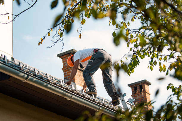 Best Commercial Roof Installation  in Mims, FL