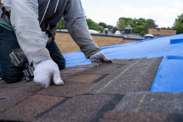 Best Shingle Roofing Installation  in Mims, FL